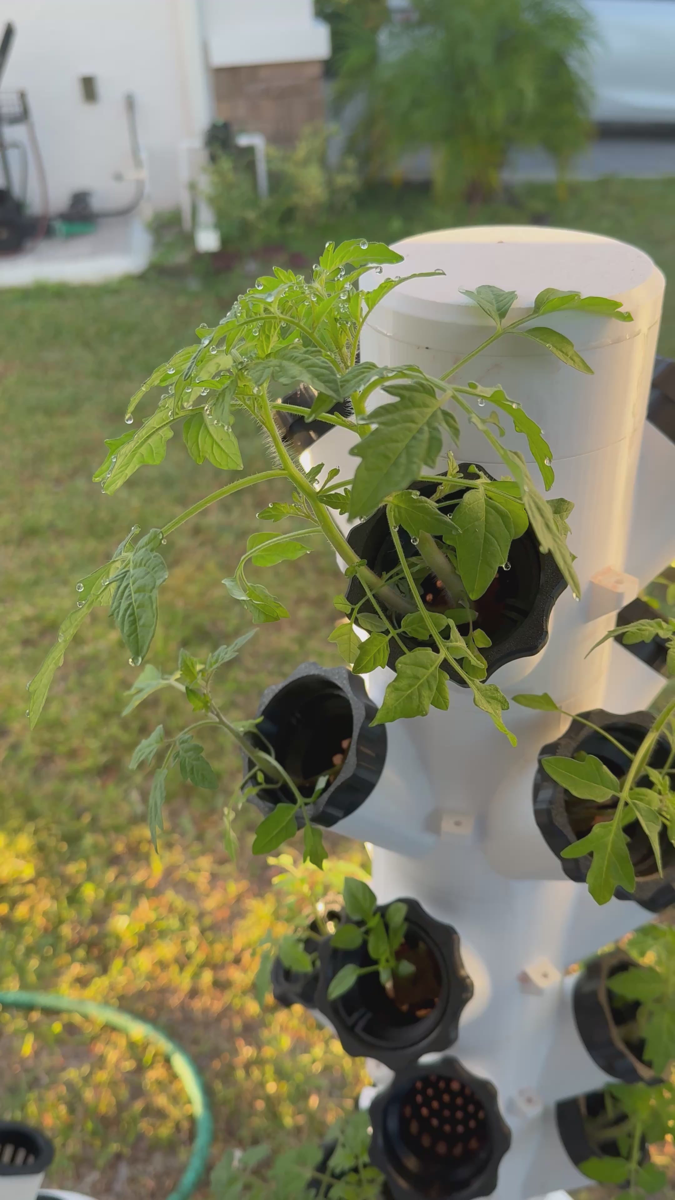 7-Stack Hydroponic Tower Bundle